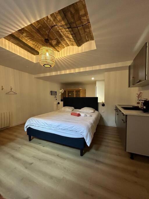 Cellar- Appartement Sous-Sol Atypique Reims Zewnętrze zdjęcie
